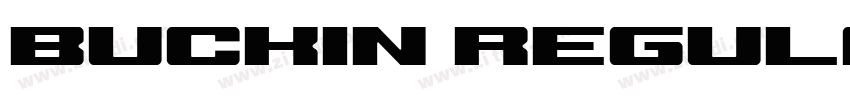 Buckin Regular Demo字体转换